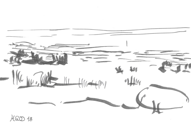 drawing calligraphy pen - salt marsh, North Sea coast